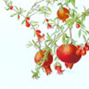 Meet your Posher, Caitlin